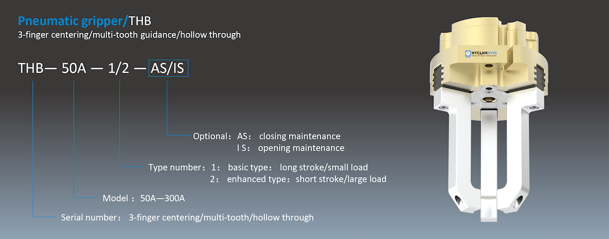 THB Type info(1200_471).png