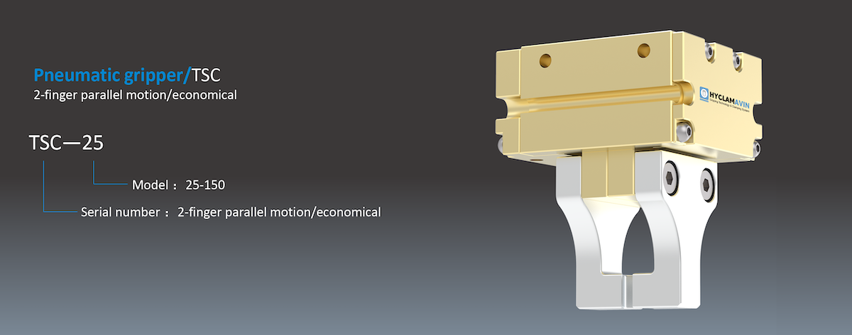 TSC Type info(1200_4720).png